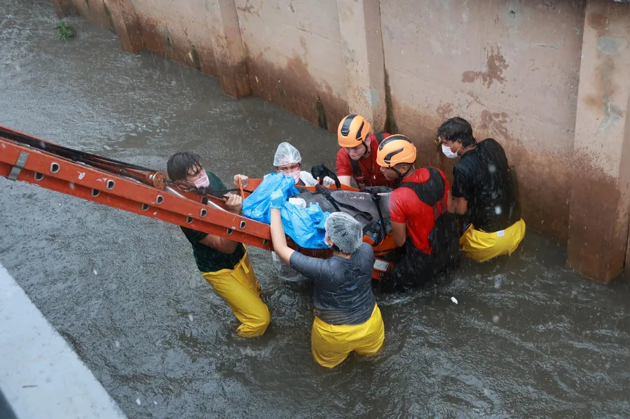 Como um boto foi parar em um canal de Belém? Entenda o trajeto do animal