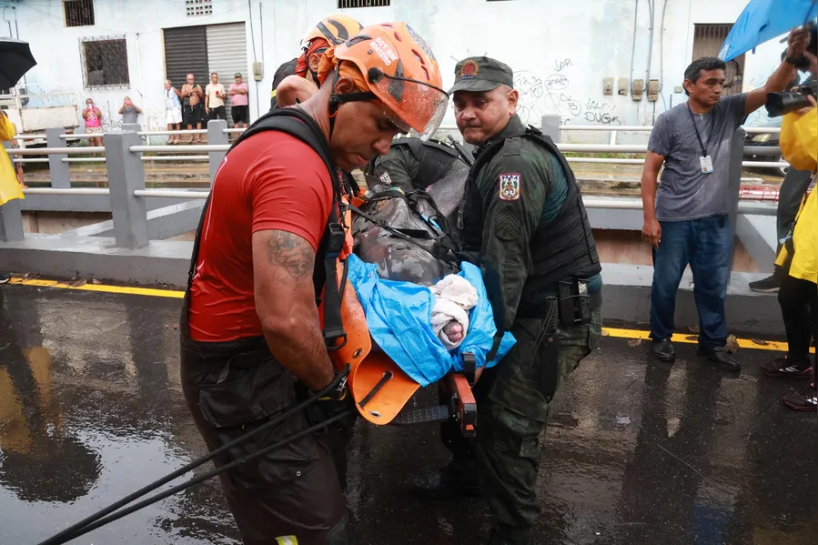 Como um boto foi parar em um canal de Belém? Entenda o trajeto do animal