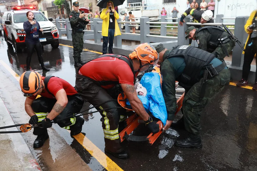 Como um boto foi parar em um canal de Belém? Entenda o trajeto do animal
