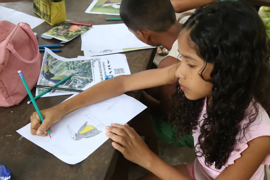 Pássaros em vida livre ensinam a crianças o amor pela natureza
