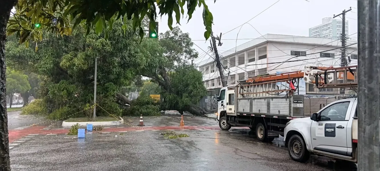 Árvore cai, derruba fiação elétrica e interdita trecho em Belém