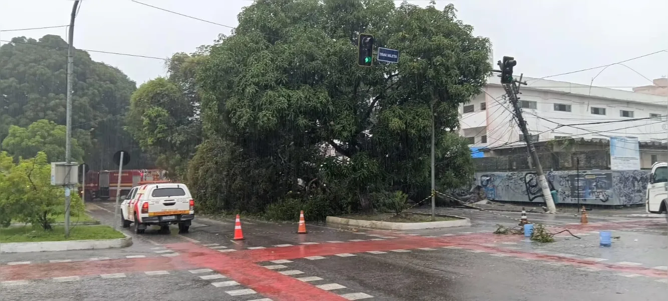 Árvore cai, derruba fiação elétrica e interdita trecho em Belém