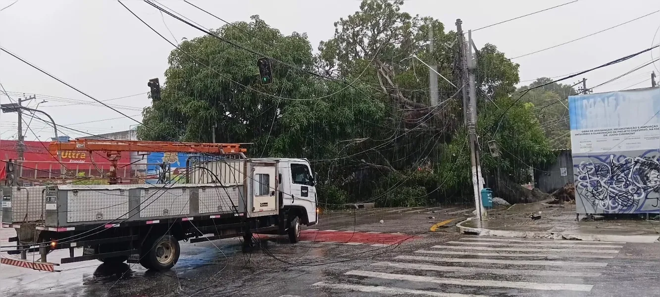 Árvore cai, derruba fiação elétrica e interdita trecho em Belém