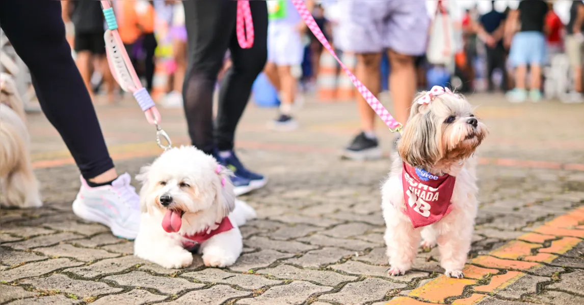 Belém recebe fim de semana esportivo com corrida e lazer familiar