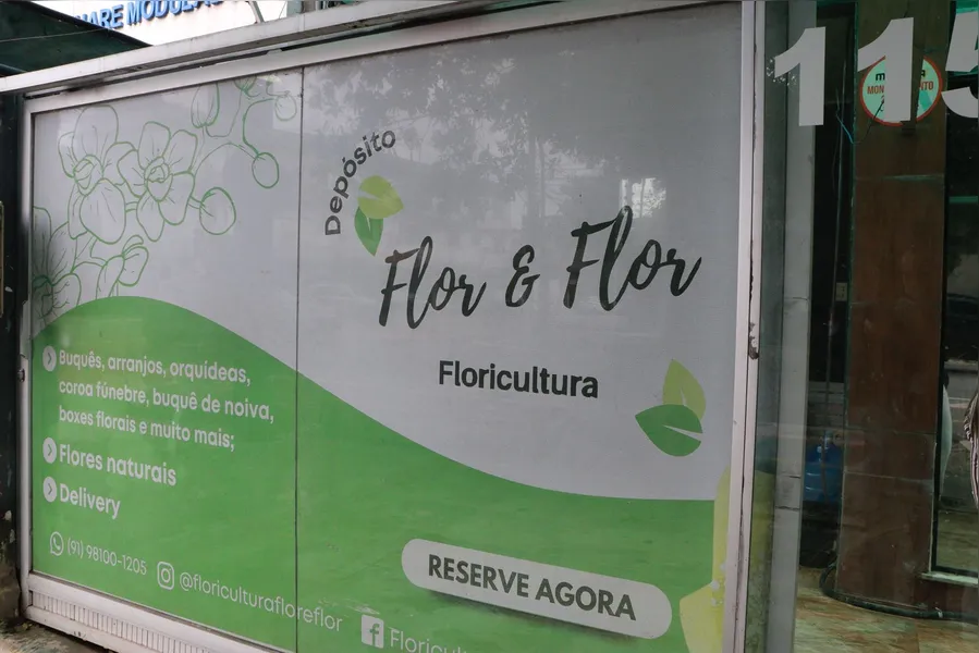 Mulheres do Pará transformam desafios em negócios e impulsionam a economia local