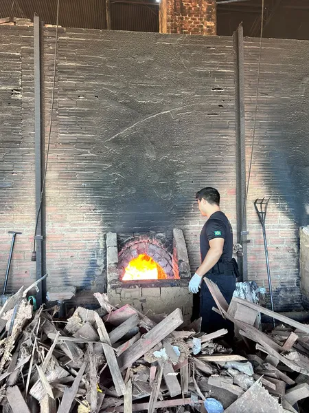 PF incinera 630 kg de drogas apreendidas em operações no Pará