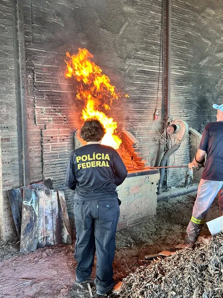 PF incinera 630 kg de drogas apreendidas em operações no Pará