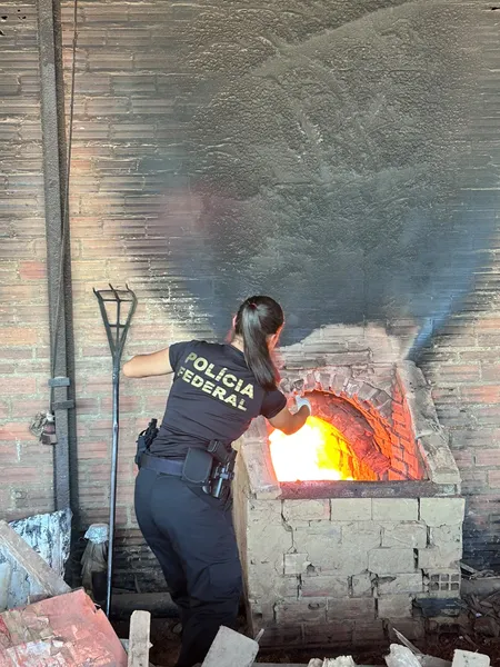 PF incinera 630 kg de drogas apreendidas em operações no Pará