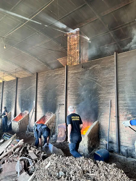PF incinera 630 kg de drogas apreendidas em operações no Pará