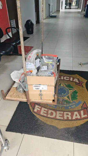PF incinera 630 kg de drogas apreendidas em operações no Pará