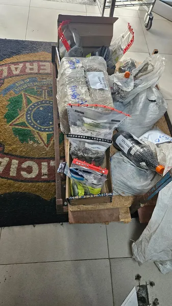 PF incinera 630 kg de drogas apreendidas em operações no Pará