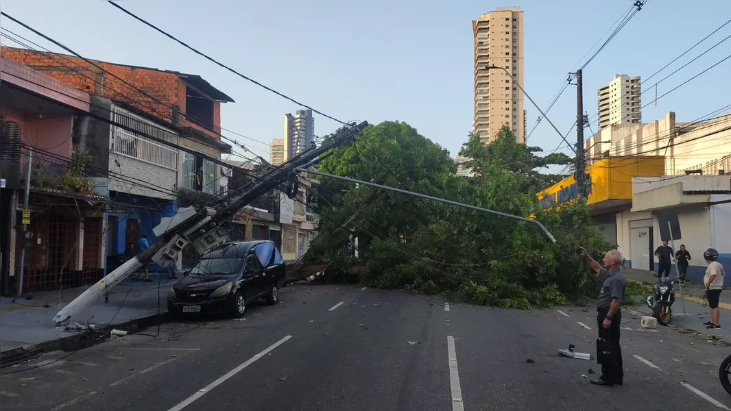 Árvore cai em frente ao PSM da 14 e interdita trânsito no Umarizal