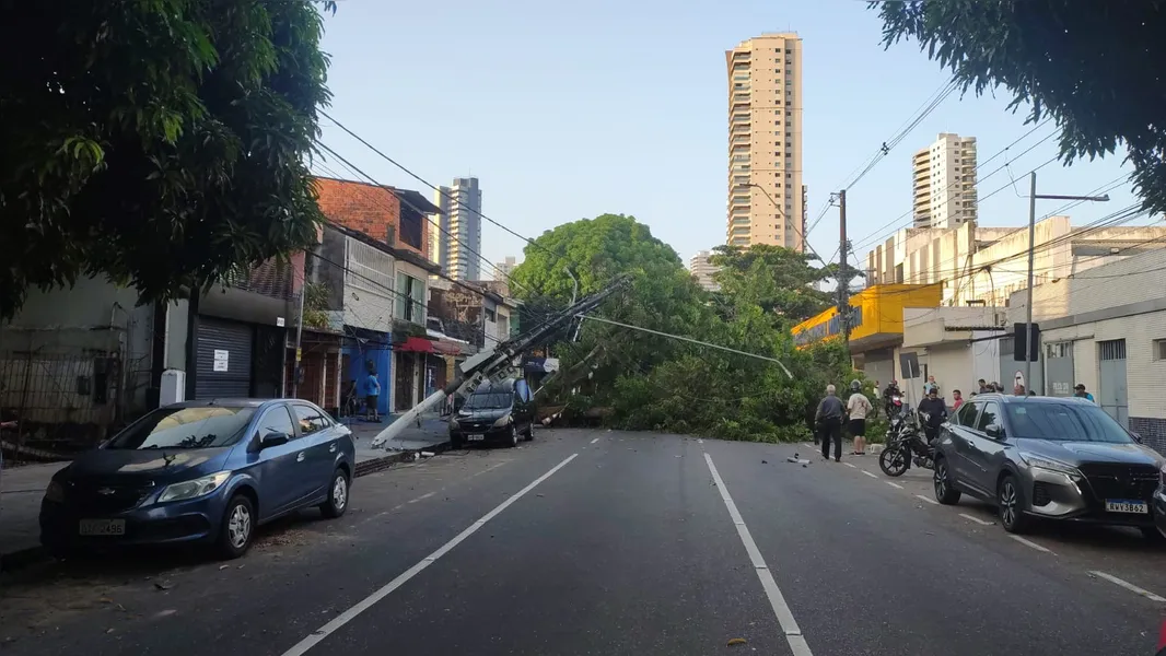 Árvore cai em frente ao PSM da 14 e interdita trânsito no Umarizal