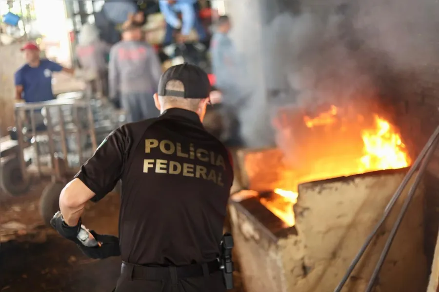PF incinera mais de 4 toneladas de drogas no Pará