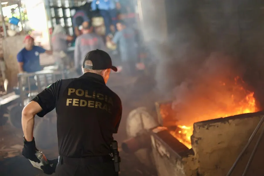 PF incinera mais de 4 toneladas de drogas no Pará