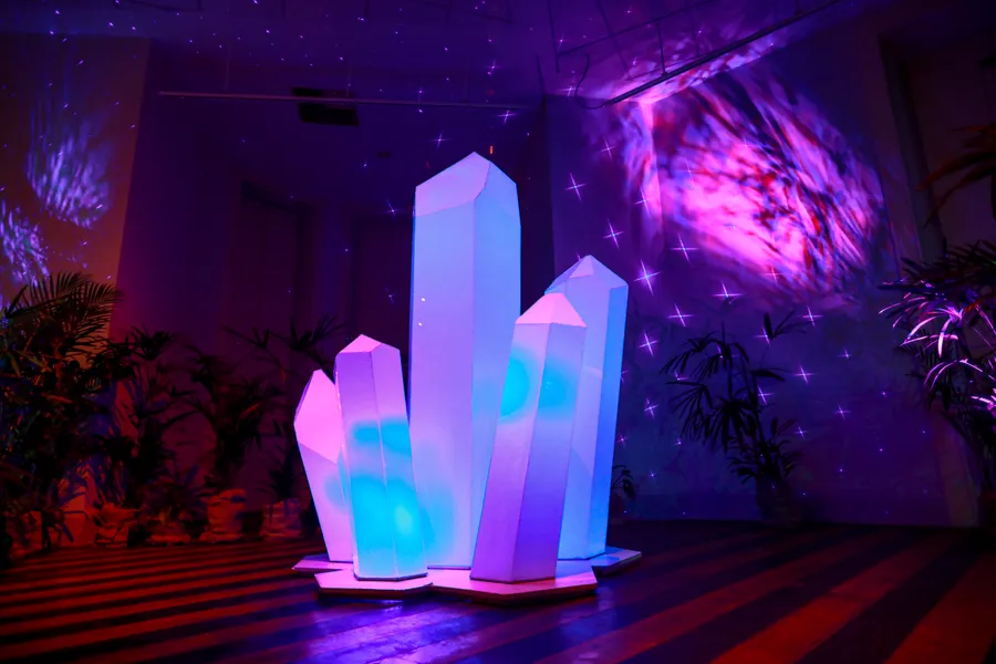 Exposição gratuita em Belém dentro de floresta virtual; veja horários e como visitar