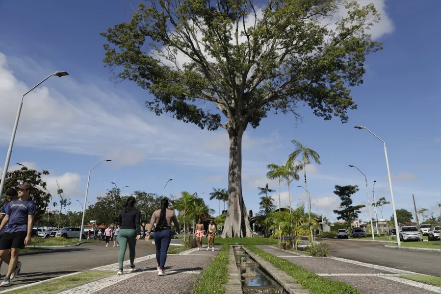 5 lugares com áreas verdes para passear com crianças na Grande Belém