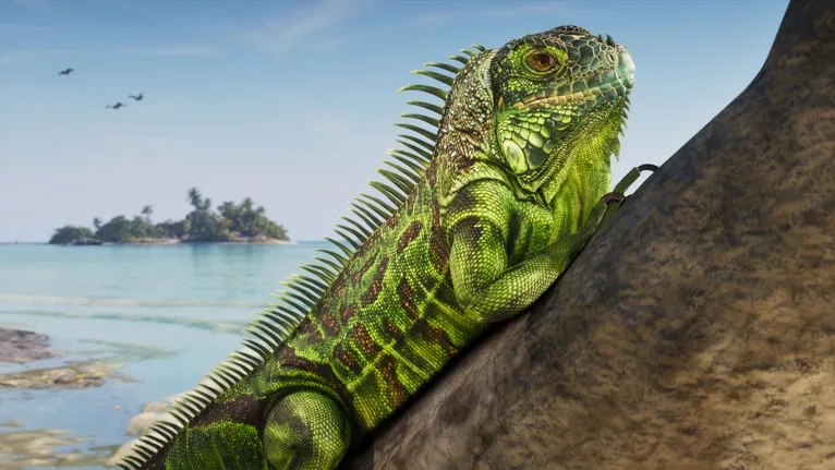 Iguanas estarão presentes na cidade