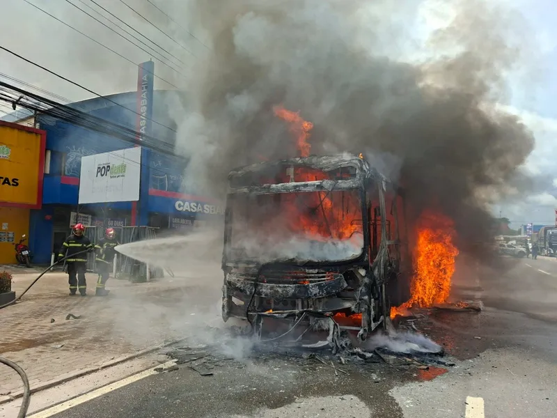 Ônibus é destruído pelo fogo na BR-316 nesta quarta, 26