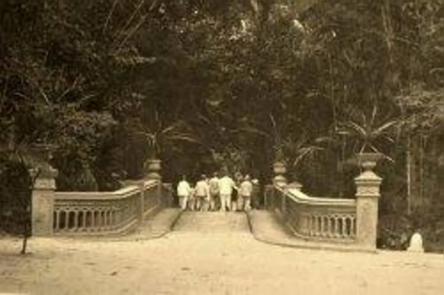 Bosque Rodrigues Alves preserva relação de Belém com a floresta