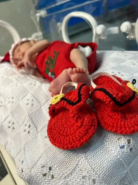 Veja! Ensaios fotográficos com recém-nascidos encantam em hospitais do Pará