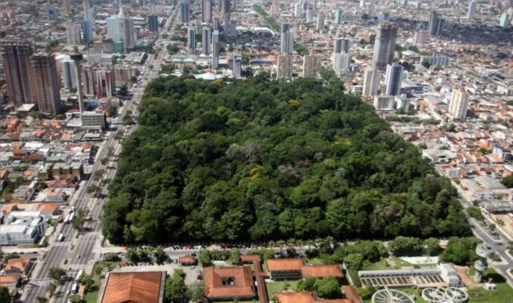 Bosque Rodrigues Alves preserva relação de Belém com a floresta