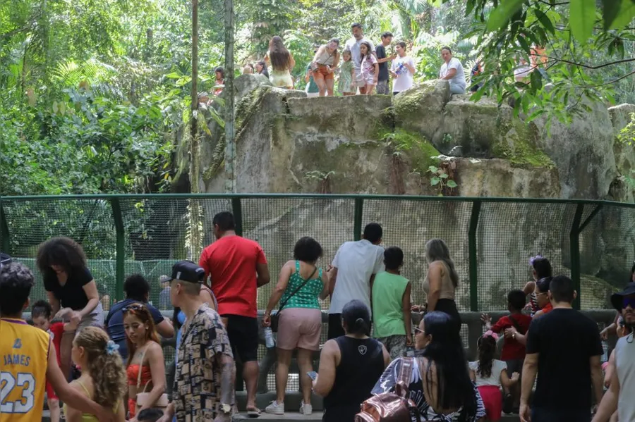 Bosque Rodrigues Alves preserva relação de Belém com a floresta