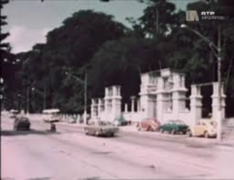 Bosque Rodrigues Alves preserva relação de Belém com a floresta