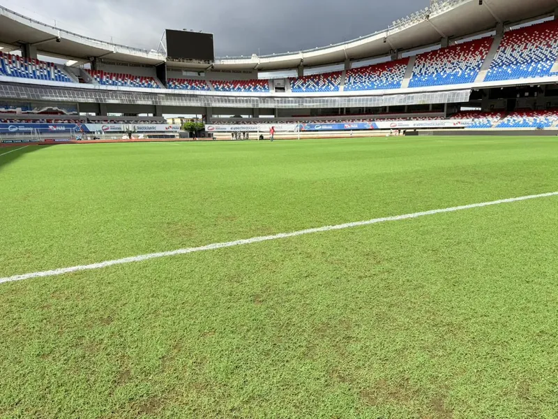 Remo x Mirassol: veja como está a recuperação do gramado do Mangueirão