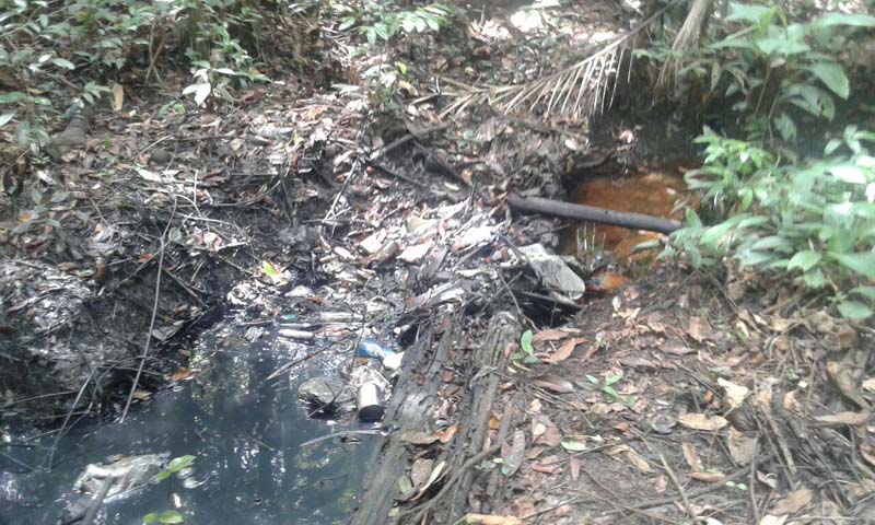 
        
            Rio Caraparu está contaminado
        
    