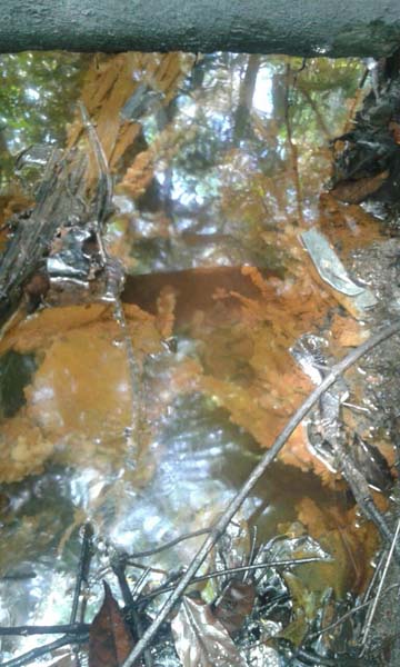 
        
            Rio Caraparu está contaminado
        
    