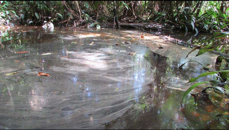 
        
            Rio Caraparu está contaminado
        
    