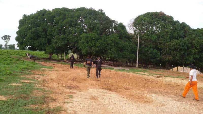 
        
            PF deflagra Operação Puma em Ourilândia do Norte
        
    
