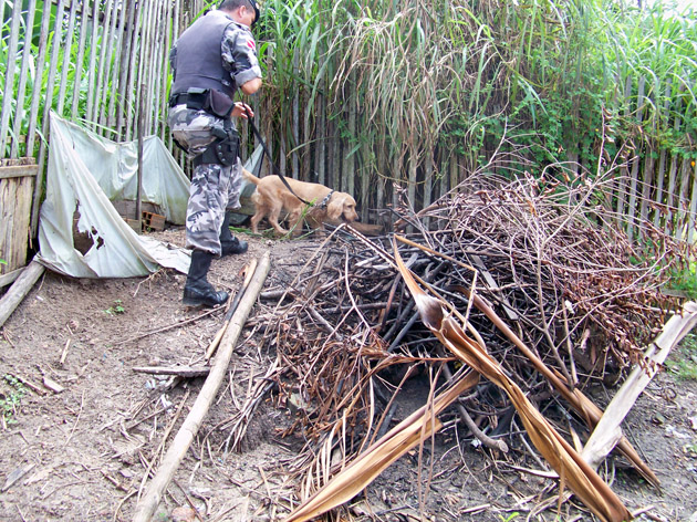 
        
            Polícia realiza mega operação em Santa Izabel
        
    