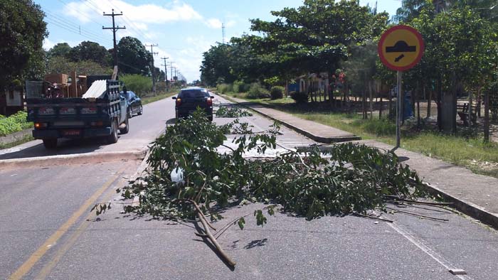 
        
            Motoristas reclamam de lombadas na PA-136
        
    