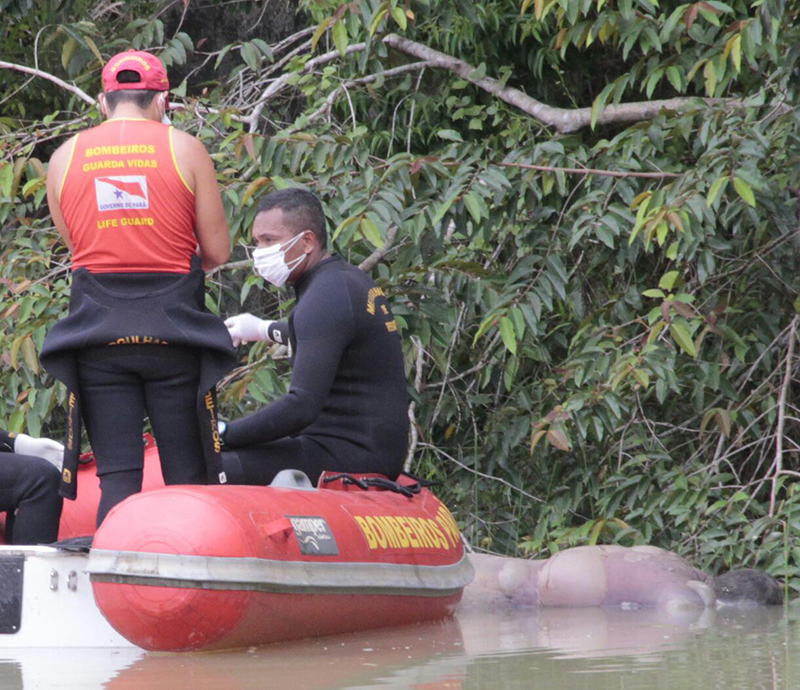 
        
            Corpo é encontrado em igarapé na Terra Firme
        
    