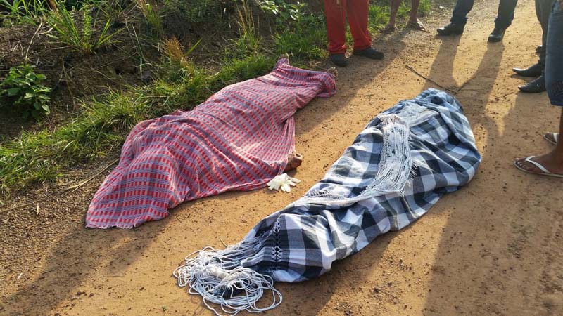 
        
            Grave acidente deixa mortos na Alça Viária
        
    
