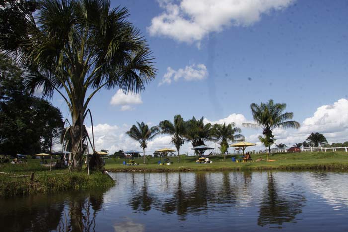 
        
            Conheça as belezas naturais de Ourém
        
    