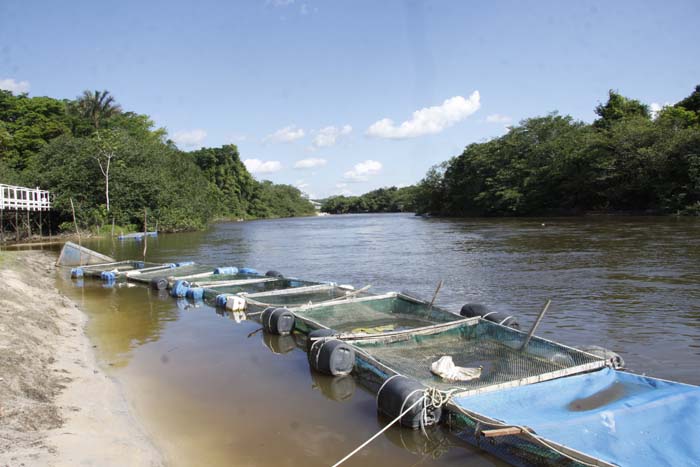 
        
            Conheça as belezas naturais de Ourém
        
    
