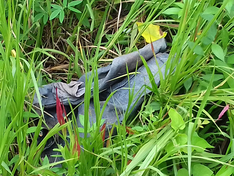 
        
            Corpo é encontrado em igarapé na Terra Firme
        
    