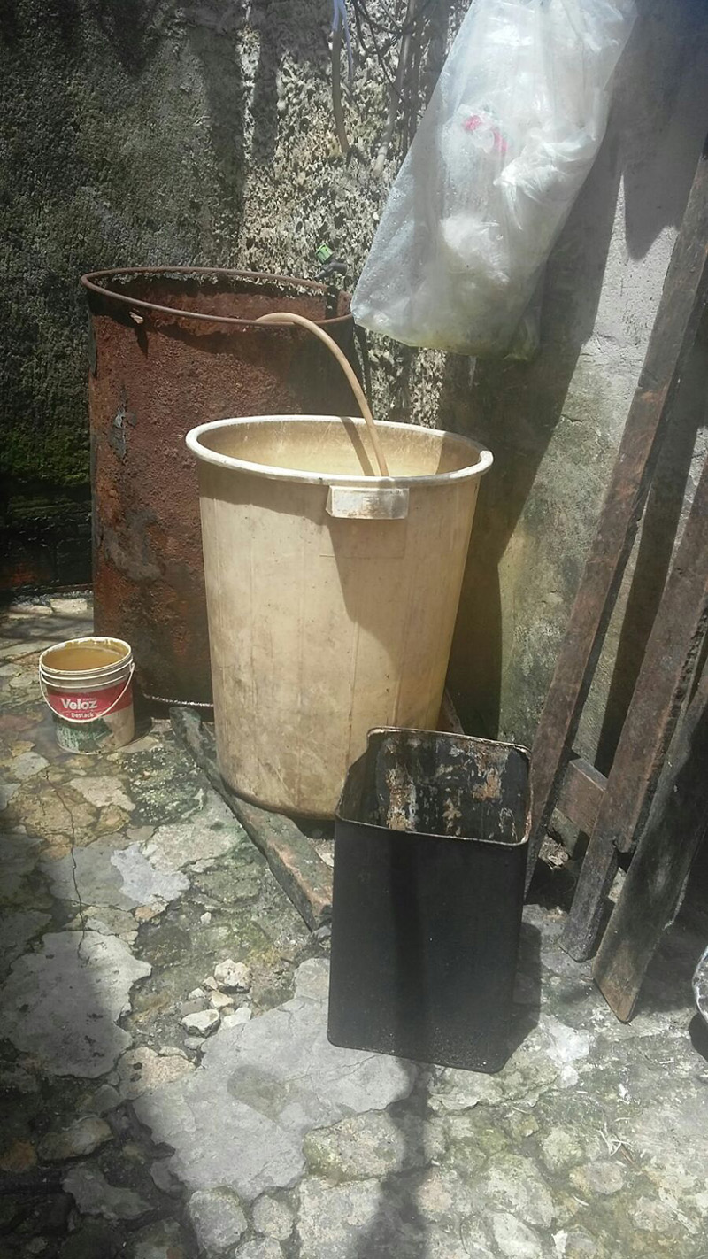 
        
            Vizinhos reclamam de matadouro clandestino
        
    