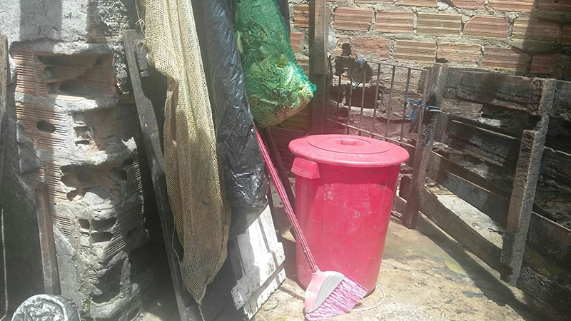 
        
            Vizinhos reclamam de matadouro clandestino
        
    