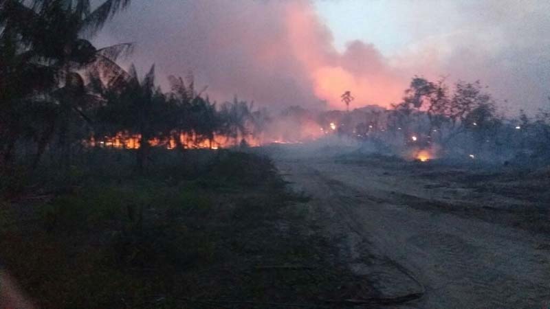 
        
            Incêndio destrói mais de 400 hectares de fazenda
        
    