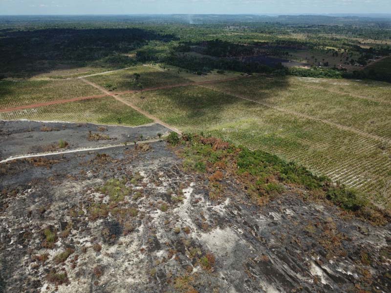 
        
            Incêndio destrói mais de 400 hectares de fazenda
        
    