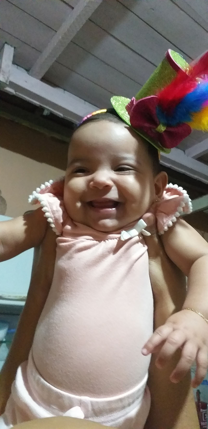 
        
            Carnaval do DOL: internautas mirins ganham galeria
        
    