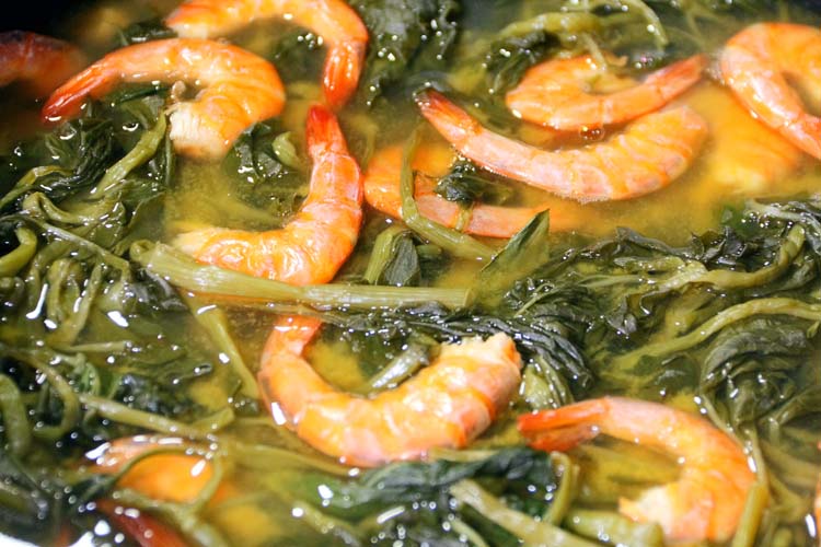 
        
            Confira algumas belezas do Pará
        
    