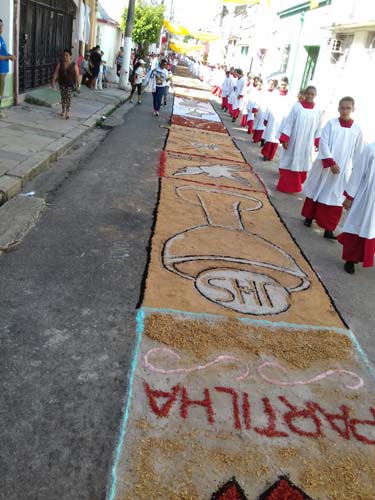 Confira as imagens da celebração de Corpus Christi no Pará