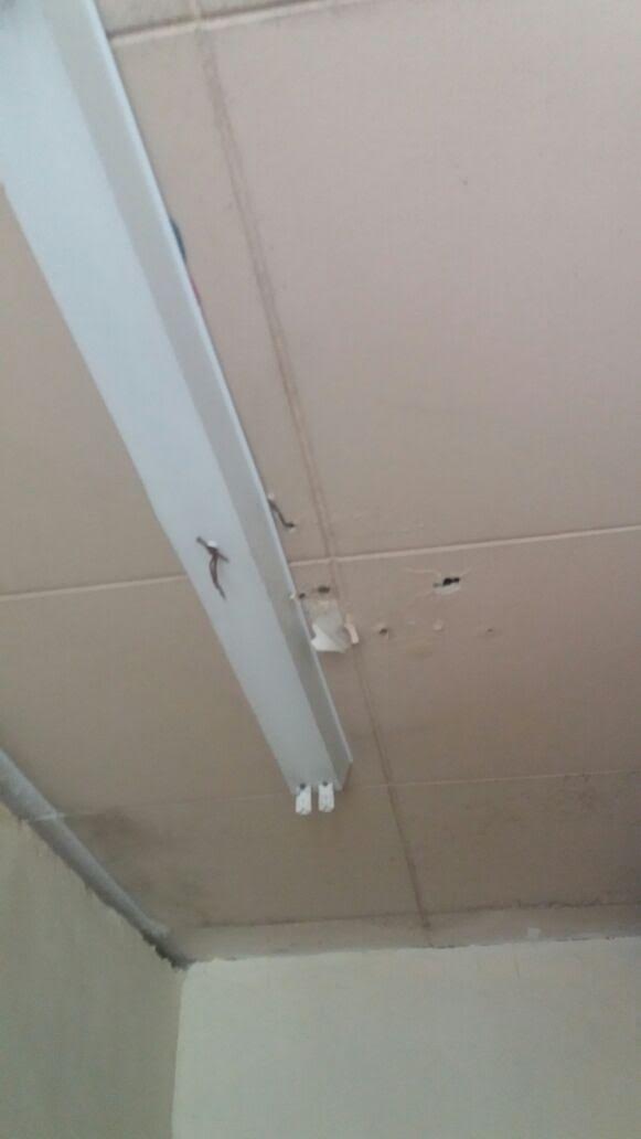 
        
            Estudantes denunciam infraestrutura da UEPA
        
    