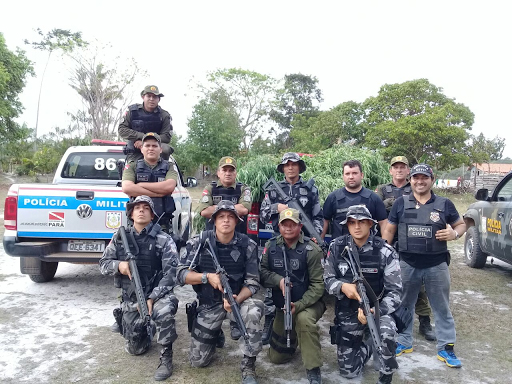 
        
            Plantação com 5.000 pés de maconha é destruída no Pará 
        
    