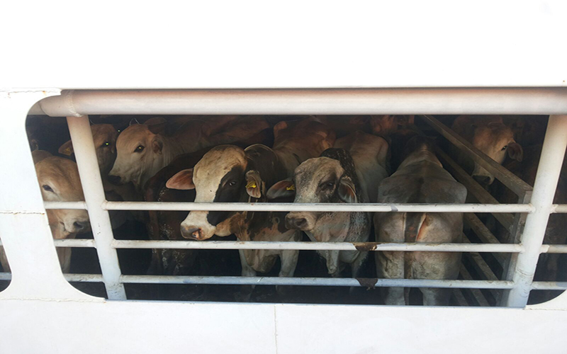 
        
            Após acidente, navio afunda em Vila do Conde
        
    